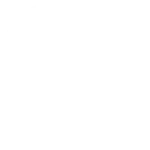 Debris Discs logo white - Logo design by Gavin Stretch