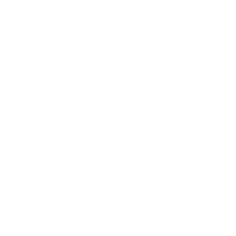 Debris Discs logo white - Logo design by Gavin Stretch