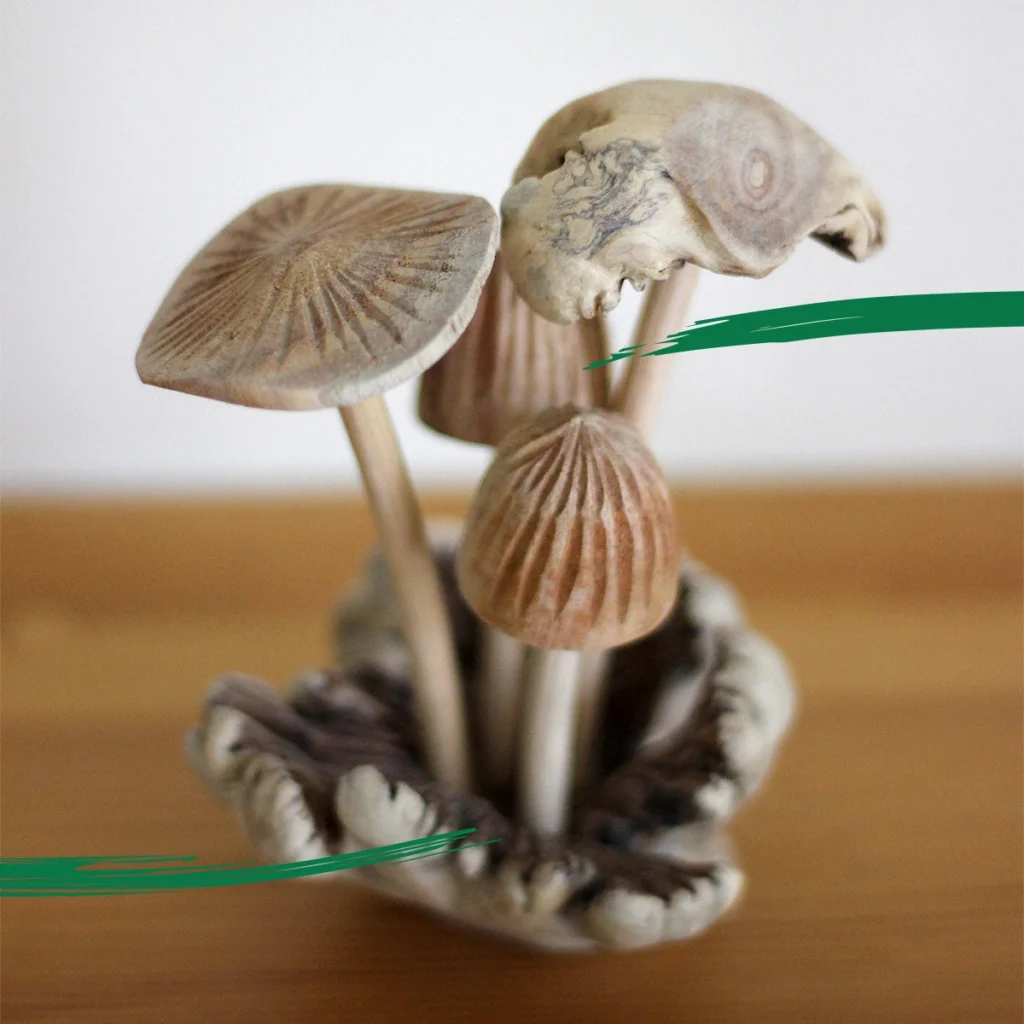 Parasite mushroom ornament example product image for Shiny Happy Eco by Gavin Stretch of Mode=Create.